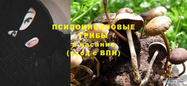 mdpv Надым