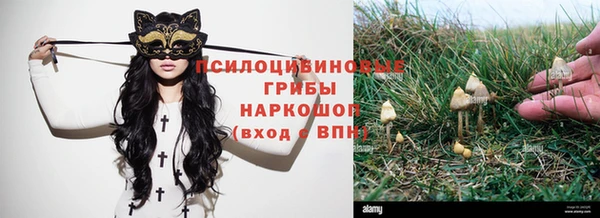 mdpv Надым